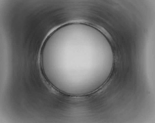 X0000110711044200906121052