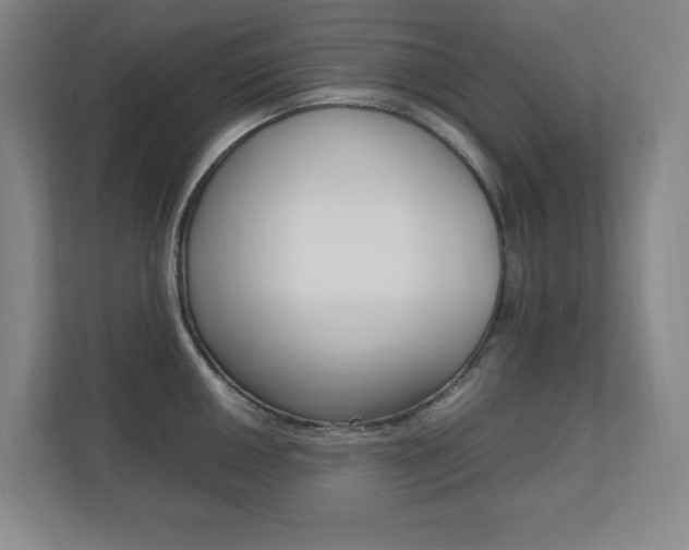 X0000110711050200906121052