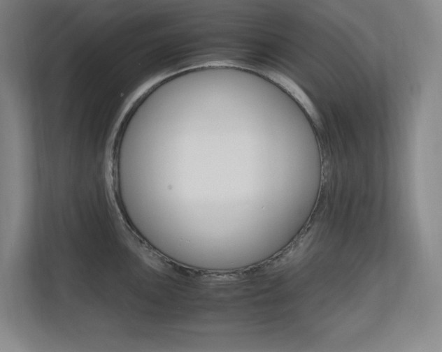 X0000110711051200906121052