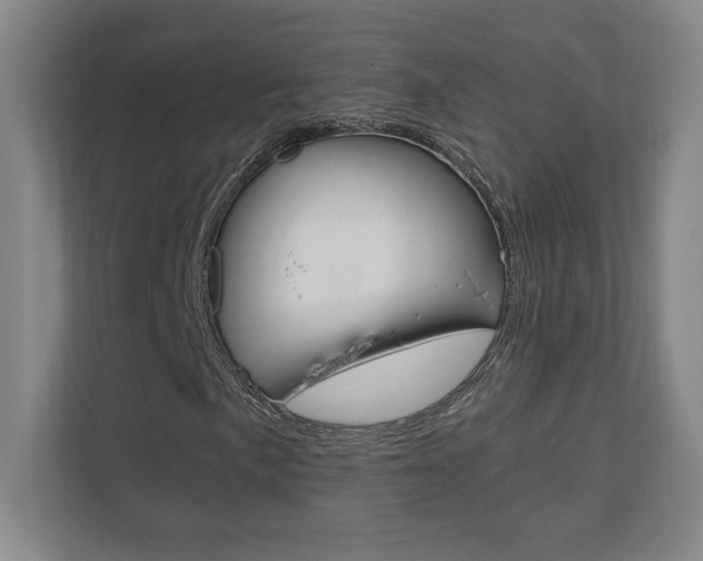X0000110711057200906121051