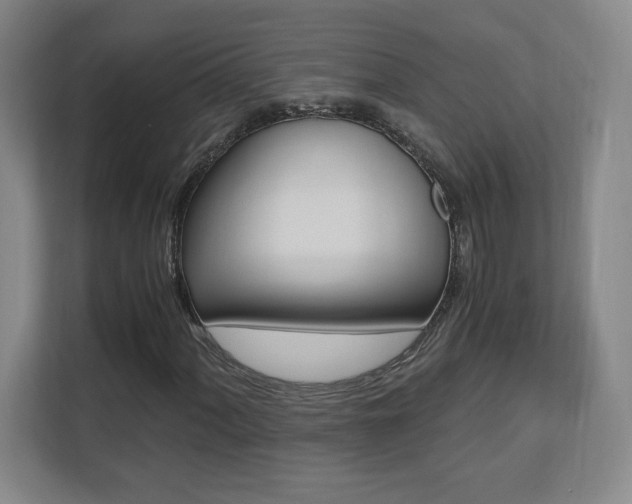 X0000110711060200906121051