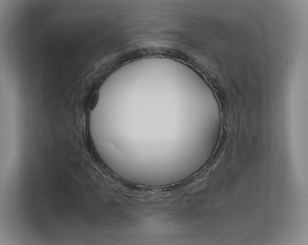 X0000110711061200906121051