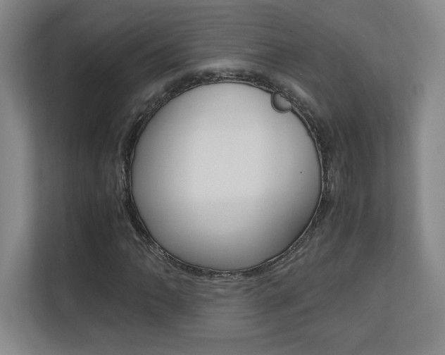 X0000110711062200906121051