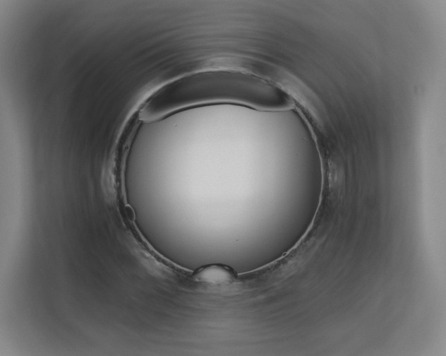 X0000110711068200906121051