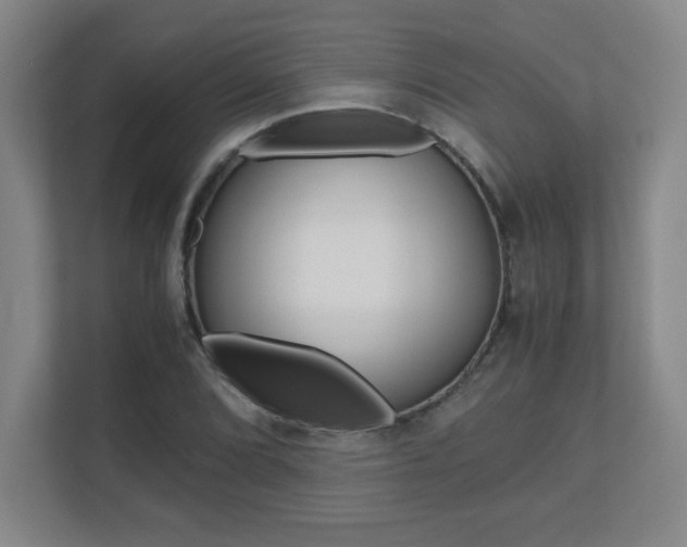 X0000110711072200906121051