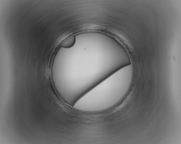 X0000110711073200906121051