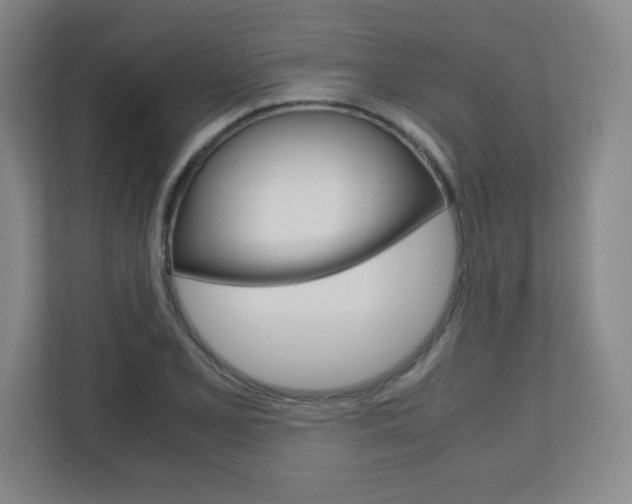 X0000110711077200906121051