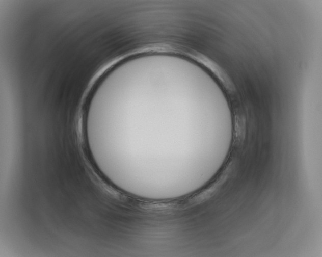 X0000110711078200906121051