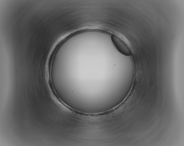 X0000110711080200906121051
