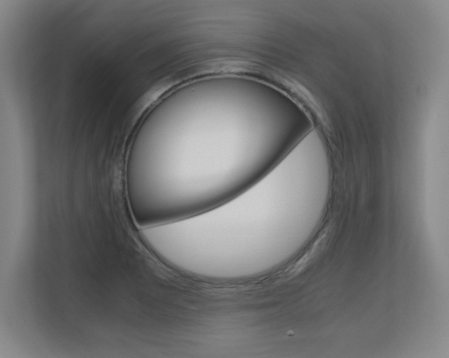 X0000110711081200906121051