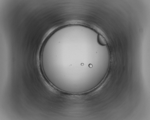 X0000110711082200906121051