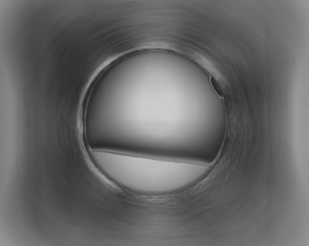 X0000110711084200906121051