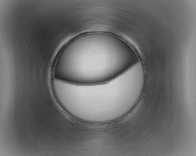 X0000110711085200906121051