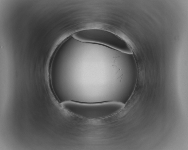 X0000110711088200906121051