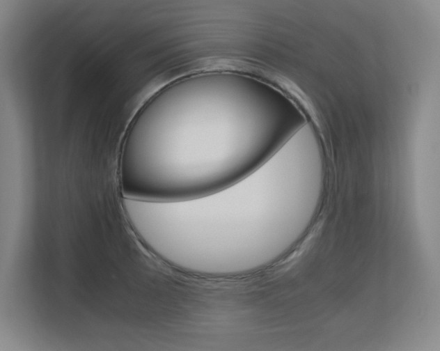 X0000110711089200906121051
