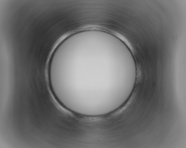 X0000110711090200906121051