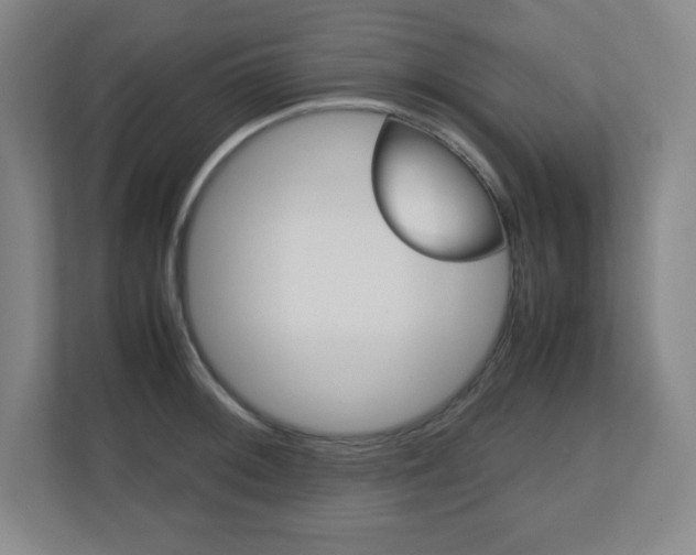 X0000110711092200906121051