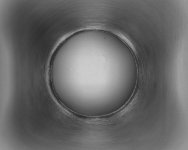 X0000110711093200906121051