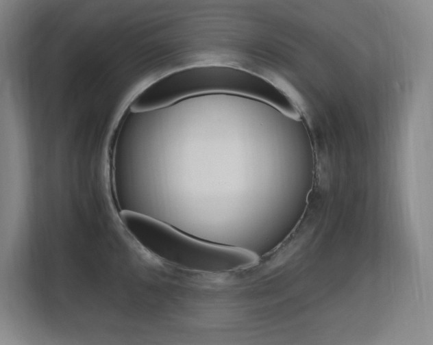 X0000110711096200906121051