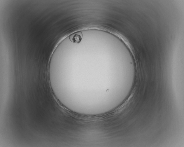 X0000110711097200906121051