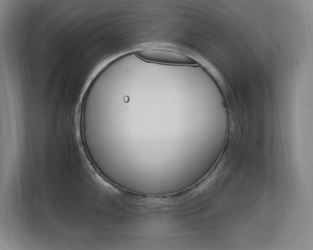X0000110711102200906121051