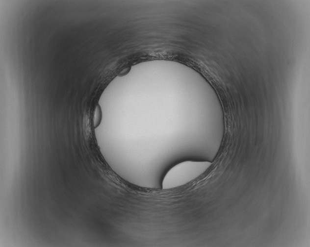 X0000110711106200906121050