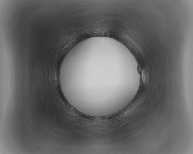 X0000110711107200906121050