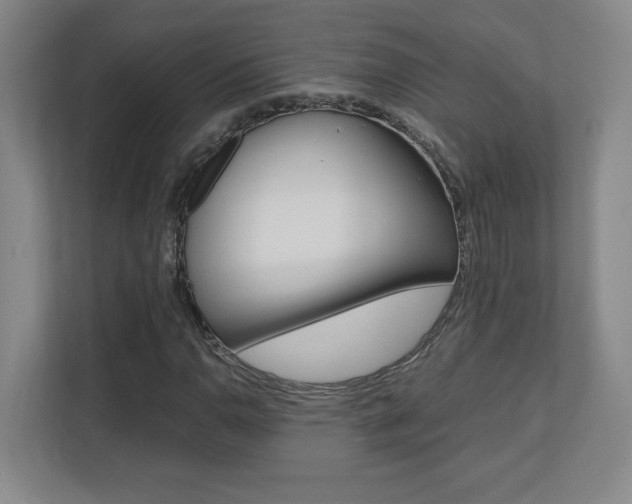 X0000110711110200906121050