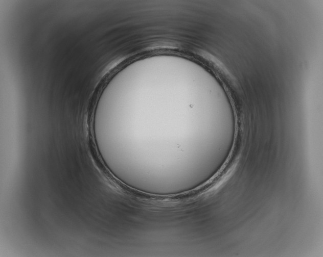 X0000110711113200906121050