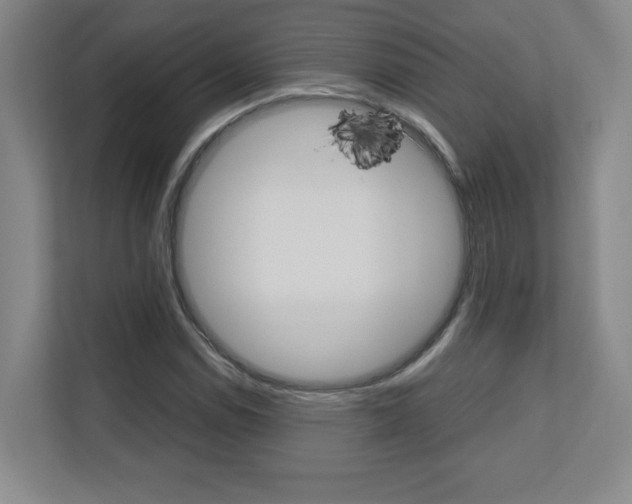 X0000110711114200906121050