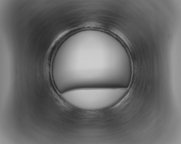 X0000110711115200906121050