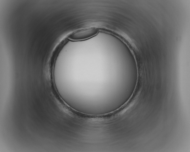 X0000110711118200906121050