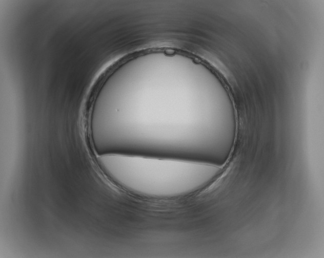 X0000110711119200906121050
