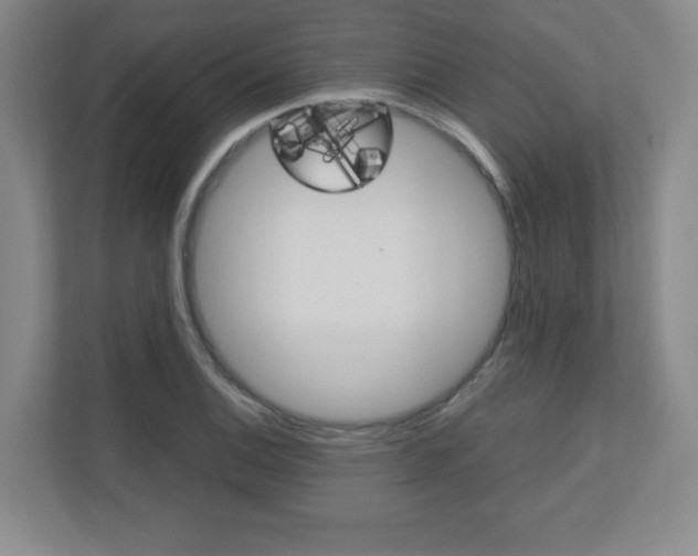 X0000110711124200906121050