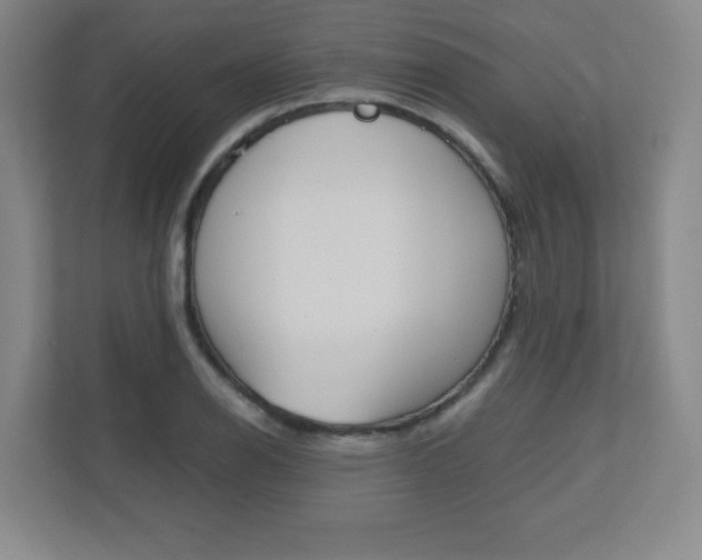 X0000110711126200906121050