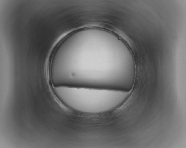 X0000110711127200906121050