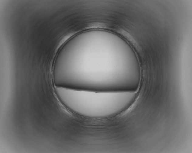X0000110711129200906121050