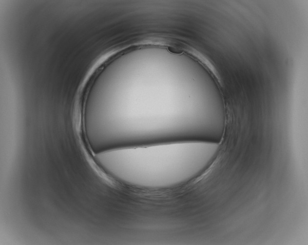X0000110711131200906121050