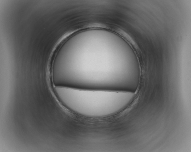 X0000110711133200906121050