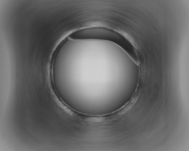 X0000110711134200906121050