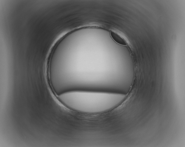 X0000110711135200906121050