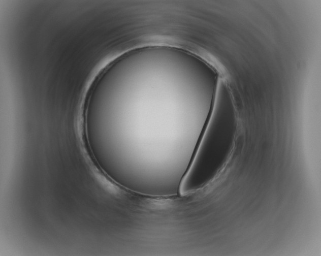 X0000110711136200906121050