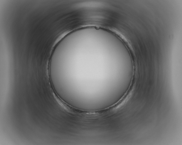 X0000110711137200906121050