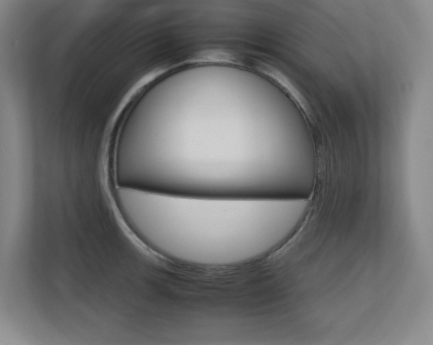 X0000110711139200906121050