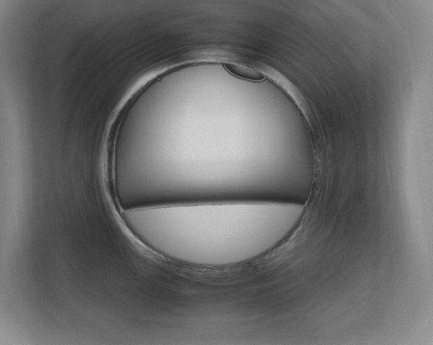 X0000110711147200906121051