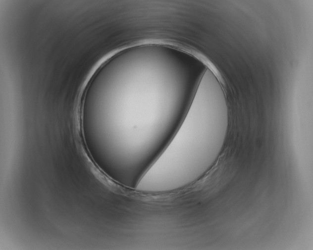 X0000110711148200906121051