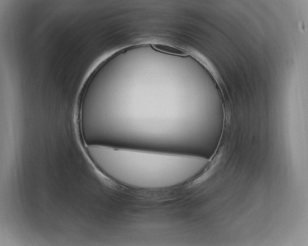 X0000110711149200906121051