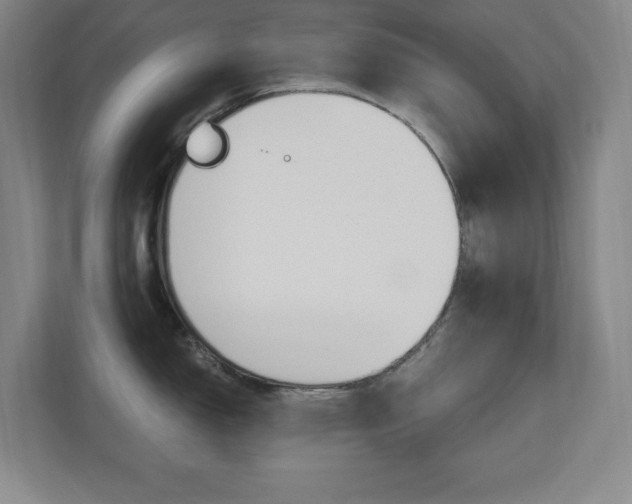 X0000110711150200906121051