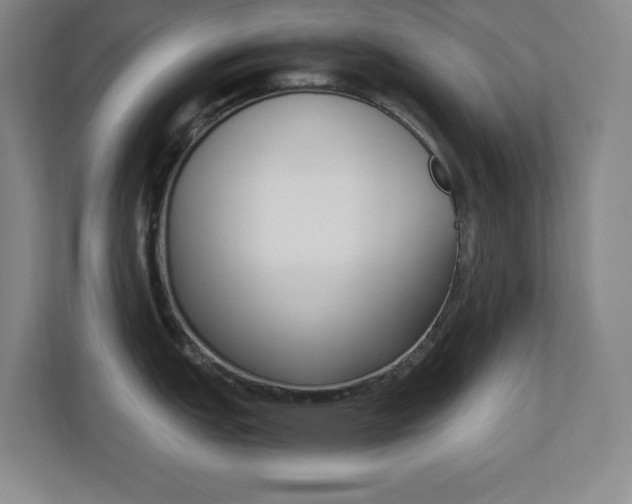 X0000110711151200906121051