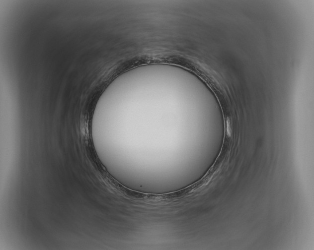 X0000110711155200906121050